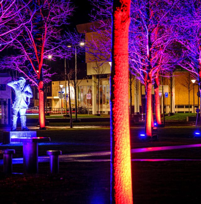 Stadspark helder licht 2019